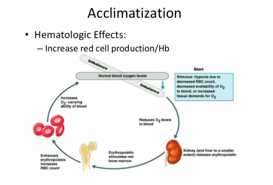 Rapid Acclimatization – Recent Trends & Emerging Perspectives